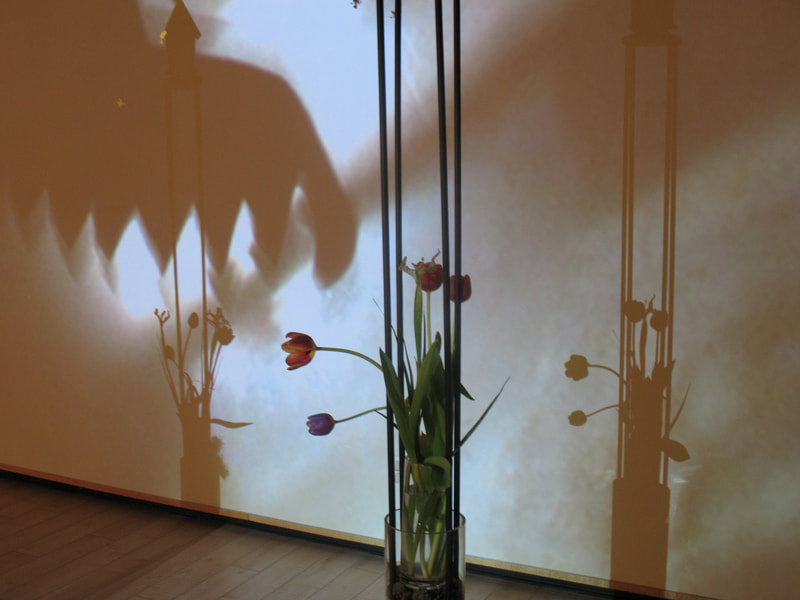 macanza/abbondanza installation, 2011
Installation details/shadows--organic elements/tulips, projected image detail. 